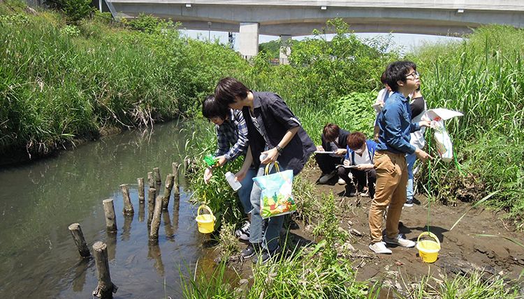 Restoration Ecology and Built Environment